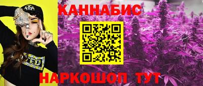 молекула духа Сланцы