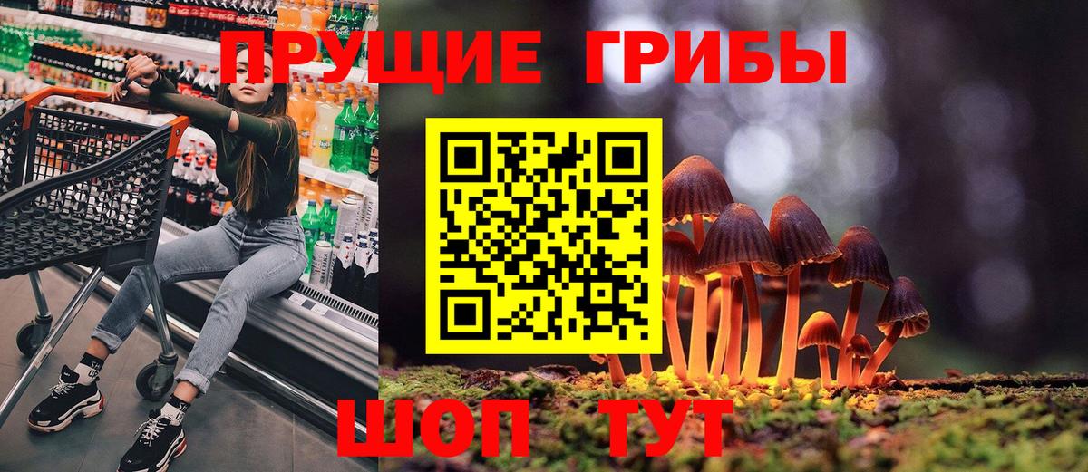 Псилоцибиновые грибы ЛСД Саранск